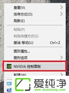 W10X_nvidiaôQ