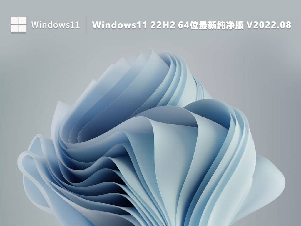 win11°汾21H2d_Windows11 22h2ʽd