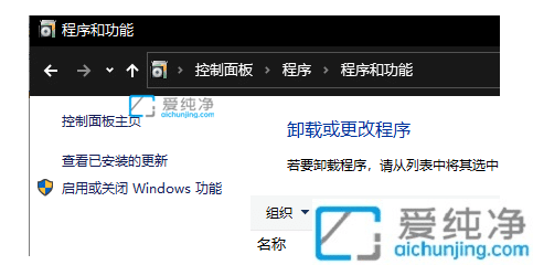 win10_iis_win10ôbiisM