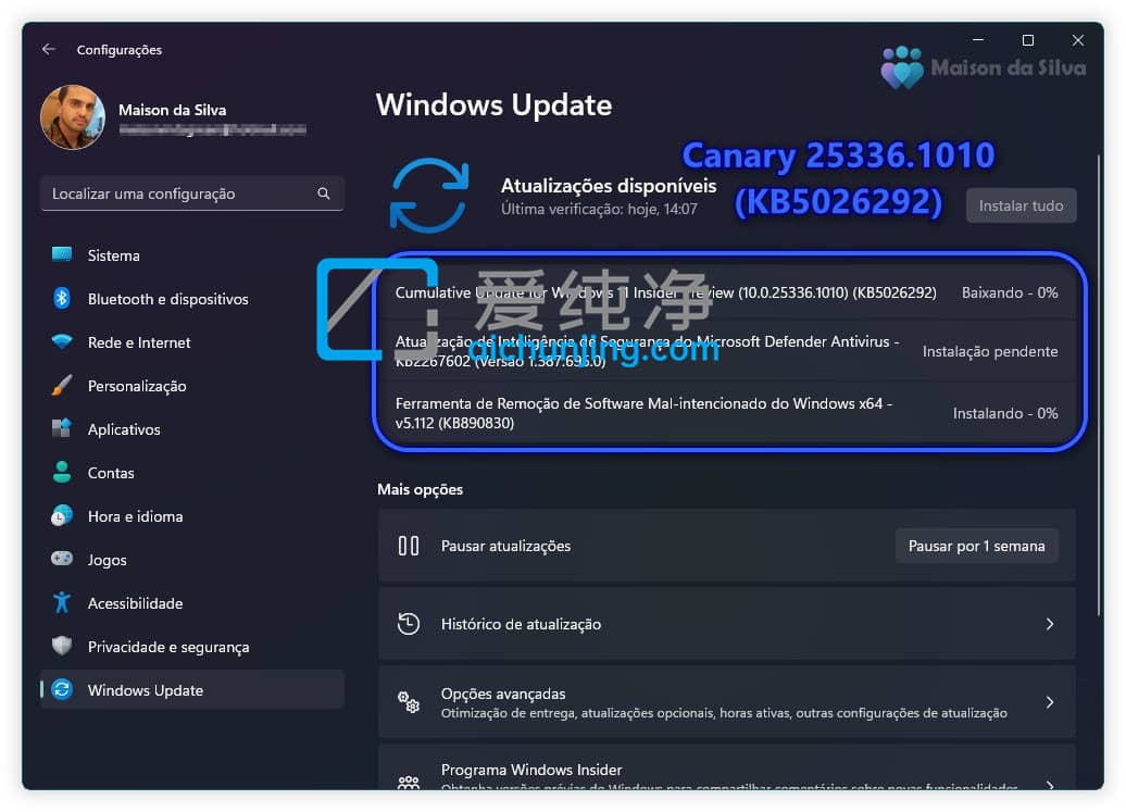 Win11 Canary Build 25336.1010 A(y)[棺Ho