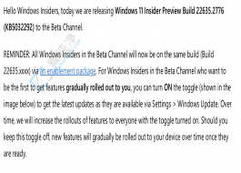 Win11 Beta A(y)[ Build 22635.2776 l(f)M Windows Ink Teams (yng)ø