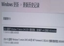 Win11 24H2 26100.2161 A(y)[棺ޏ(f) 8.63GB SFC  BUG